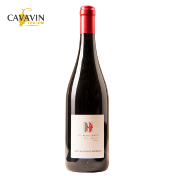 FREDERIC MABILEAU ST NICOLAS DE BOURGUEIL LES ROUILLERES